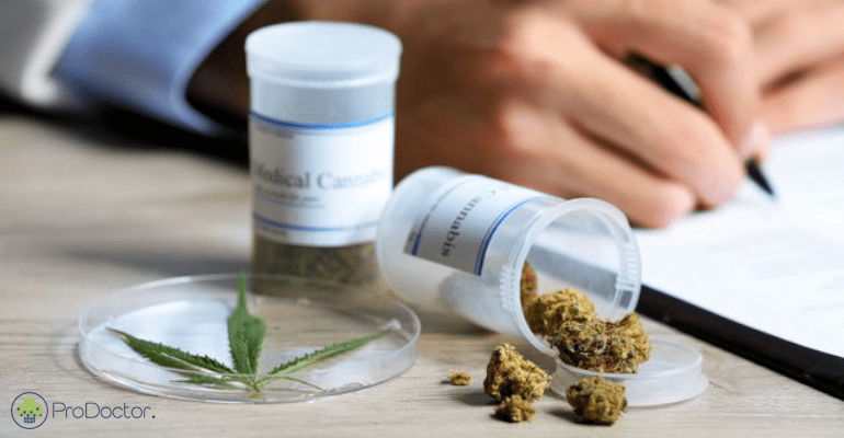 Maconha é reconhecida como planta medicinal pela Anvisa