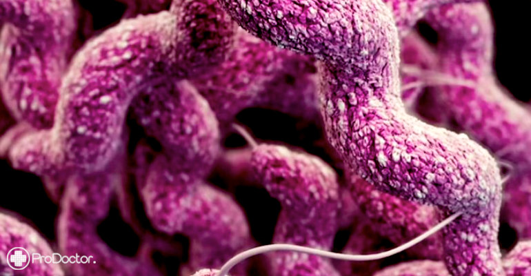 Nova classe de antibióticos se mostra capaz de combater superbactérias