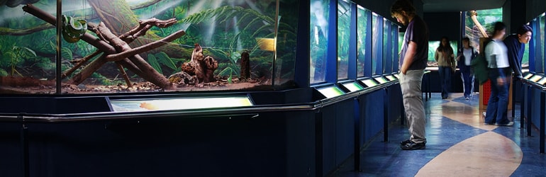 Museus da Saúde: Biológico